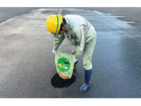 マイルドパッチ